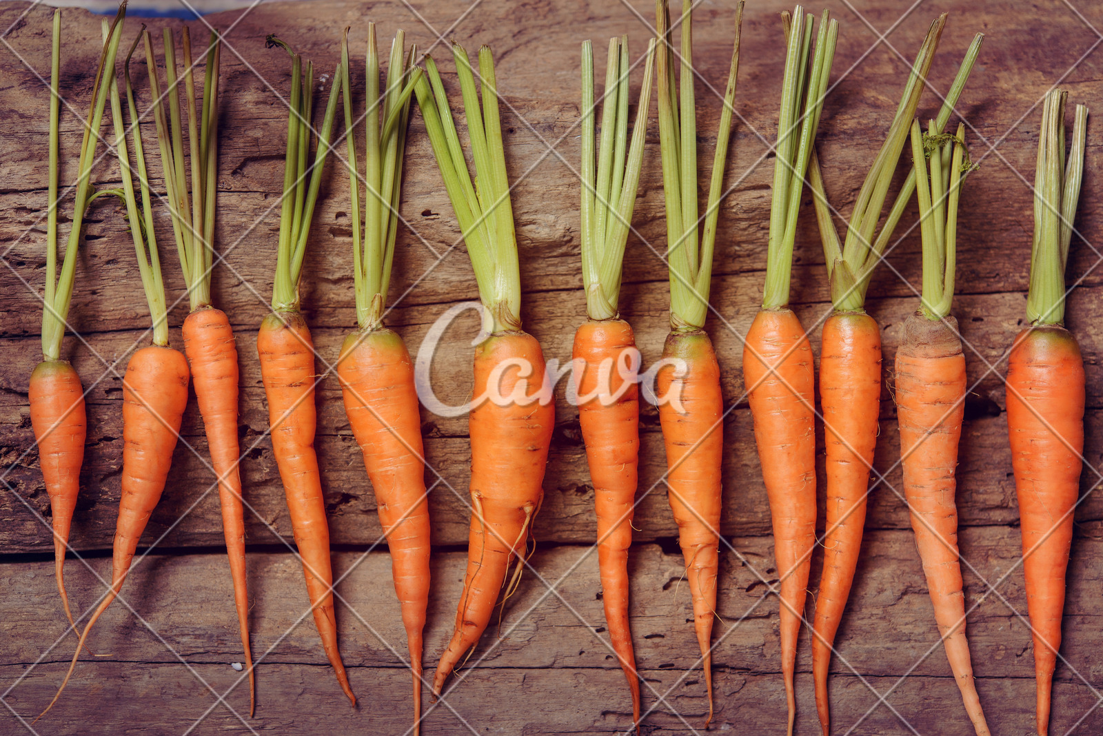 国家发展改革委：2025年上半年以工代赈吸纳208万名低收入群众就近就业